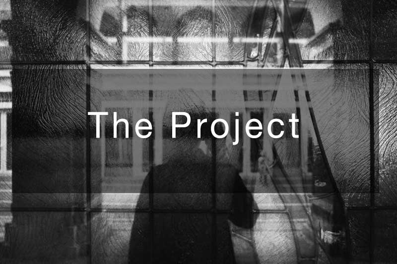The Human Error Project - The Project